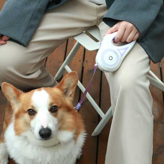 Retractable Automatic Spotlight Pet Dog Leash