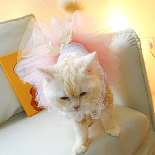 Pet Cat Lace Clothing Suit