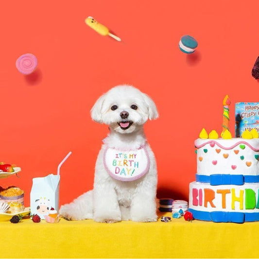 Pet Embroidery Dog Saliva Bib Towel