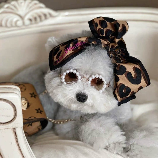 Pet Cute Pearl Sunglasses